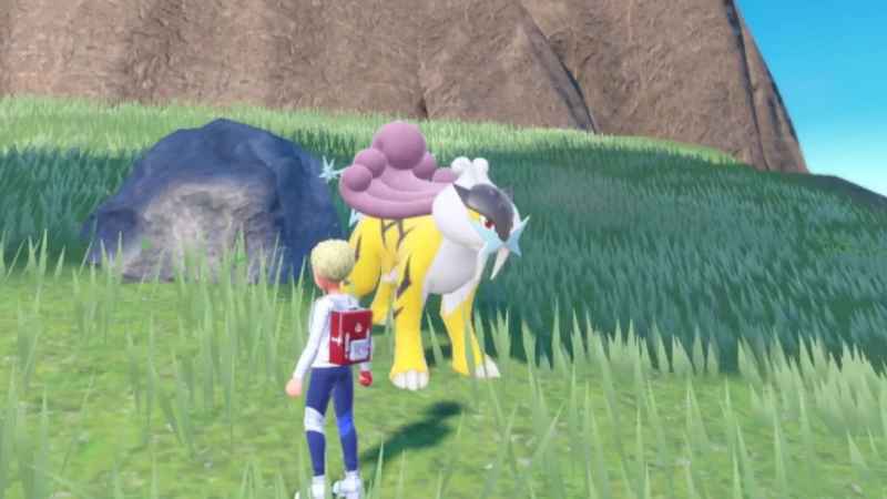 تمام پوکمون‌های ببرمانند در سری Pokémon؛ از لیتن تا چن‌پائو